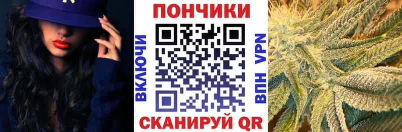 где купить наркоту mega как зайти Шишки марихуана OG Kush Щёлкино